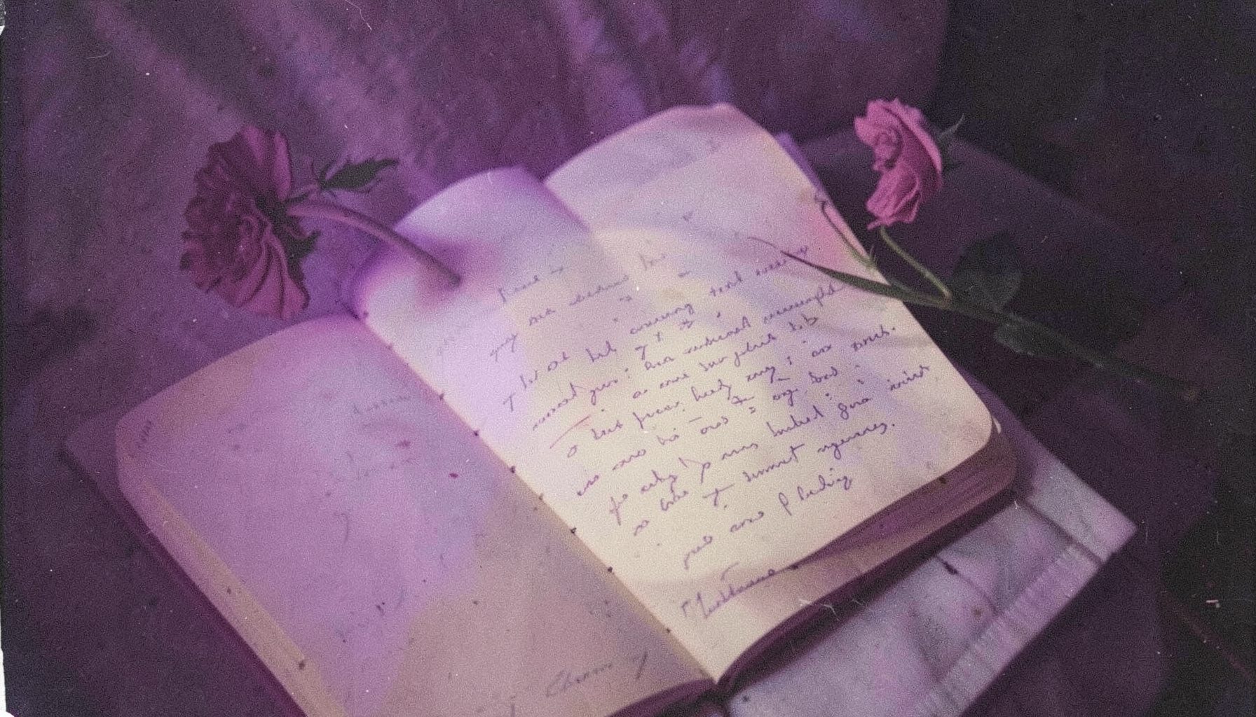 Derin mor ve krem rengi geçişlerle, açık bir el yazması defter ve yanında duran bir gül, huzurlu bir kompozisyon.